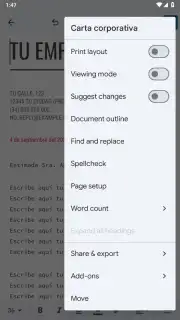 Google Docs screenshot 14
