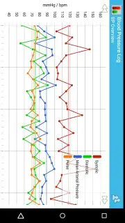 BP Log screenshot 2