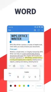 WPS Office screenshot 13
