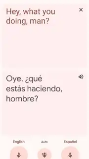 Google Translate screenshot 12