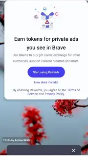 Brave Browser (Beta) screenshot 3