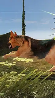 German Shepherd Simulator screenshot 2