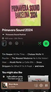 Spotify screenshot 29
