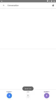 Google Translate screenshot 5