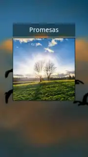 Promesas screenshot 9