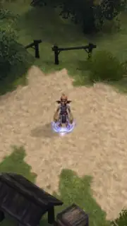 Final Fantasy Crystal Chronicles screenshot 3