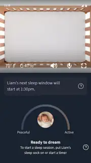 Owlet Dream screenshot 6