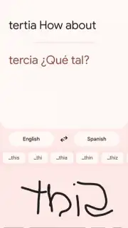 Google Translate screenshot 11