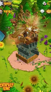 Catapult King screenshot 4