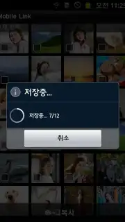 MobileLink screenshot 2
