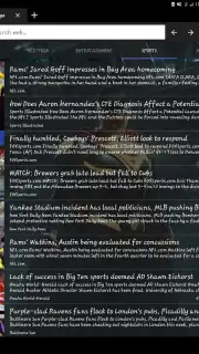 Skynet Browser screenshot 1