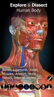 3D Anatomy Learning screenshot 6