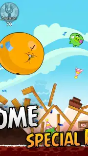 Angry Birds screenshot 3