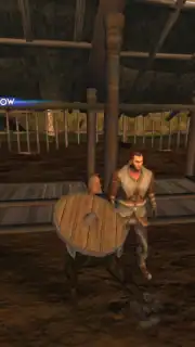 Vikings: Valhalla Saga screenshot 9