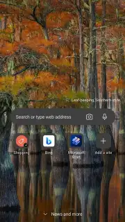 Microsoft Edge Dev screenshot 1