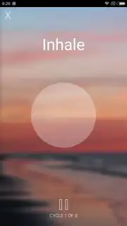 Sanvello screenshot 10