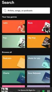 Spotify screenshot 21