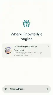 Perplexity screenshot 1