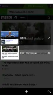 Web Browser screenshot 8