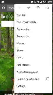 NoChromo screenshot 5