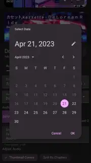 YTDLnis screenshot 6