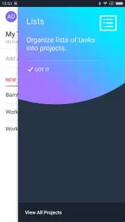 Asana screenshot 3