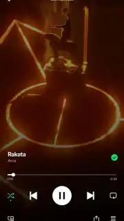 Spotify screenshot 8