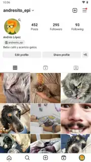Honista screenshot 7