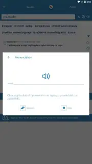 Reverso Translation Dictionary screenshot 14