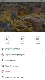 Honista screenshot 13