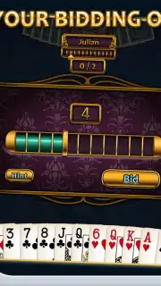 Aces Spades screenshot 19