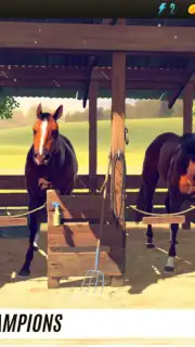 Rival Stars Horse Racing screenshot 5