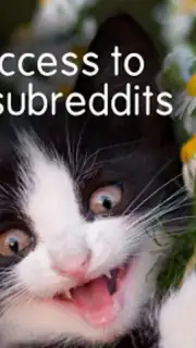BaconReader for Reddit screenshot 3