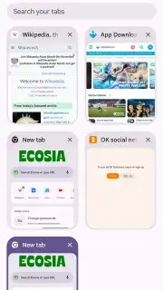 Chrome Beta screenshot 19