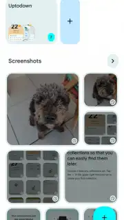 Pixel Screenshots screenshot 2