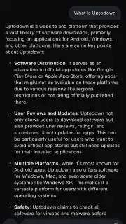 Grok screenshot 5