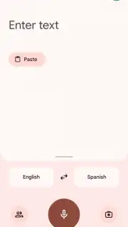 Google Translate screenshot 14