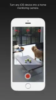Manything screenshot 5