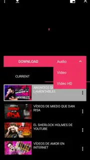 Flvto YouTube Downloader screenshot 3