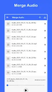 Video to MP3 Convert screenshot 1