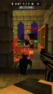 Pixel Gun 3D screenshot 6