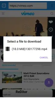 VIP Video downloader screenshot 4