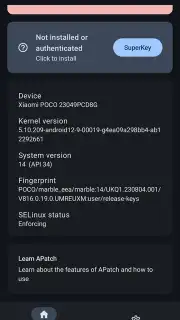APatch screenshot 5