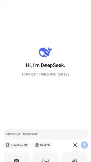 DeepSeek screenshot 1
