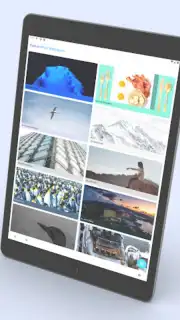 Android 13 Launcher screenshot 10