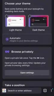 Iceraven Browser screenshot 4