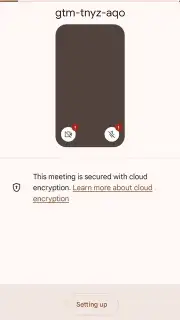 Google Meet screenshot 16