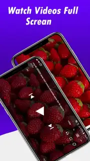 Fast Youtube Downloader screenshot 2