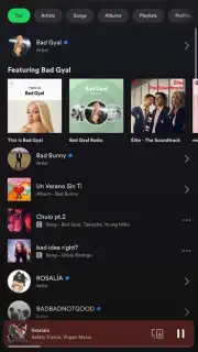 Spotify screenshot 6