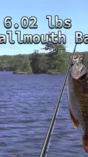 i Fishing 3 Lite screenshot 2